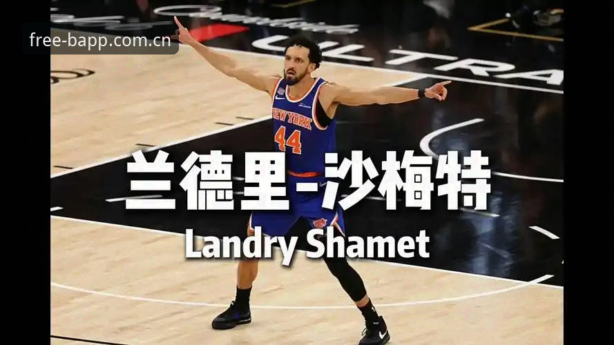 兰德里·沙梅特离队风险下的尼克斯替补选择：一份避坑操作教程**